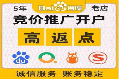 SEM代运营案例分析：精准投放策略解析